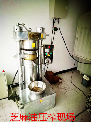 想開小油坊，買什么榨油機合適(圖1)