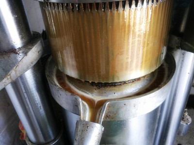  新買的榨油機(jī)如何度過(guò)磨合期(圖1)