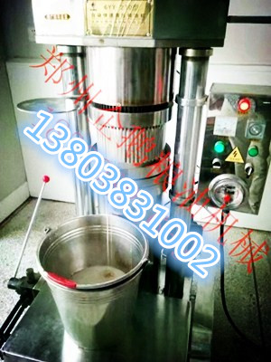 各種廠家生產(chǎn)的小型榨油機各有千秋(圖1)