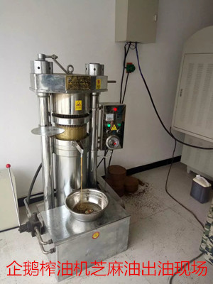 企鵝榨油機(jī)廠家教你如何分辨花生油好壞(圖1)